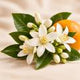 African Orange Flower