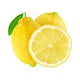 Amalfi Lemon