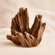 Cashmere Wood